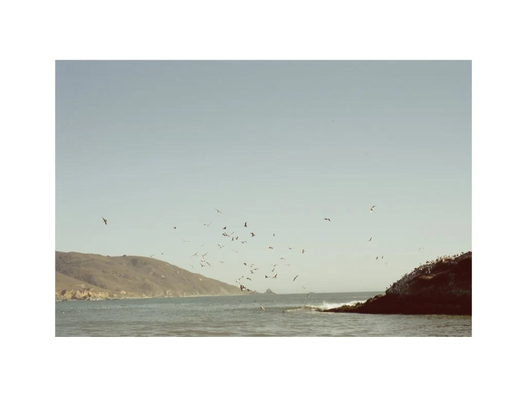  At this overdue crossroads of freedom and overconsumption, 