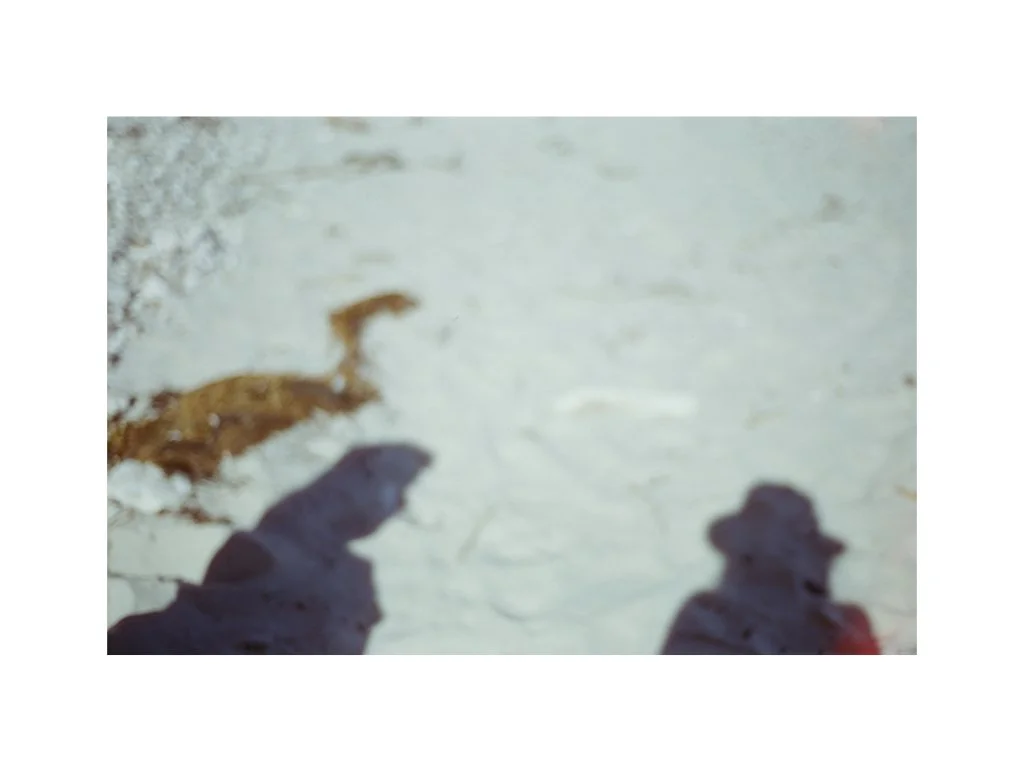  of natural capital and habitat,  