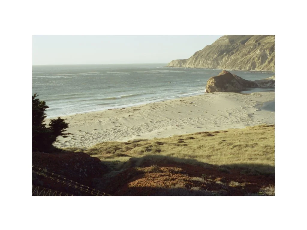  —and rapidly move our biz physically and digitally offshore. 