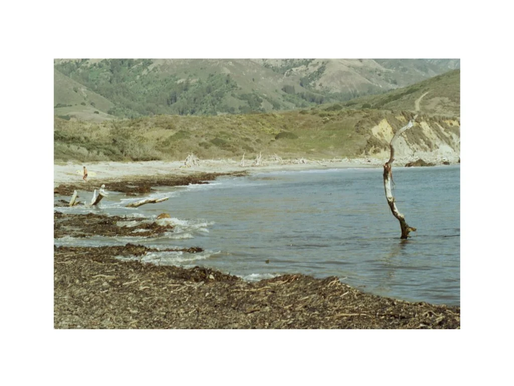  Why renewable and nonrenewable resources are applicable 