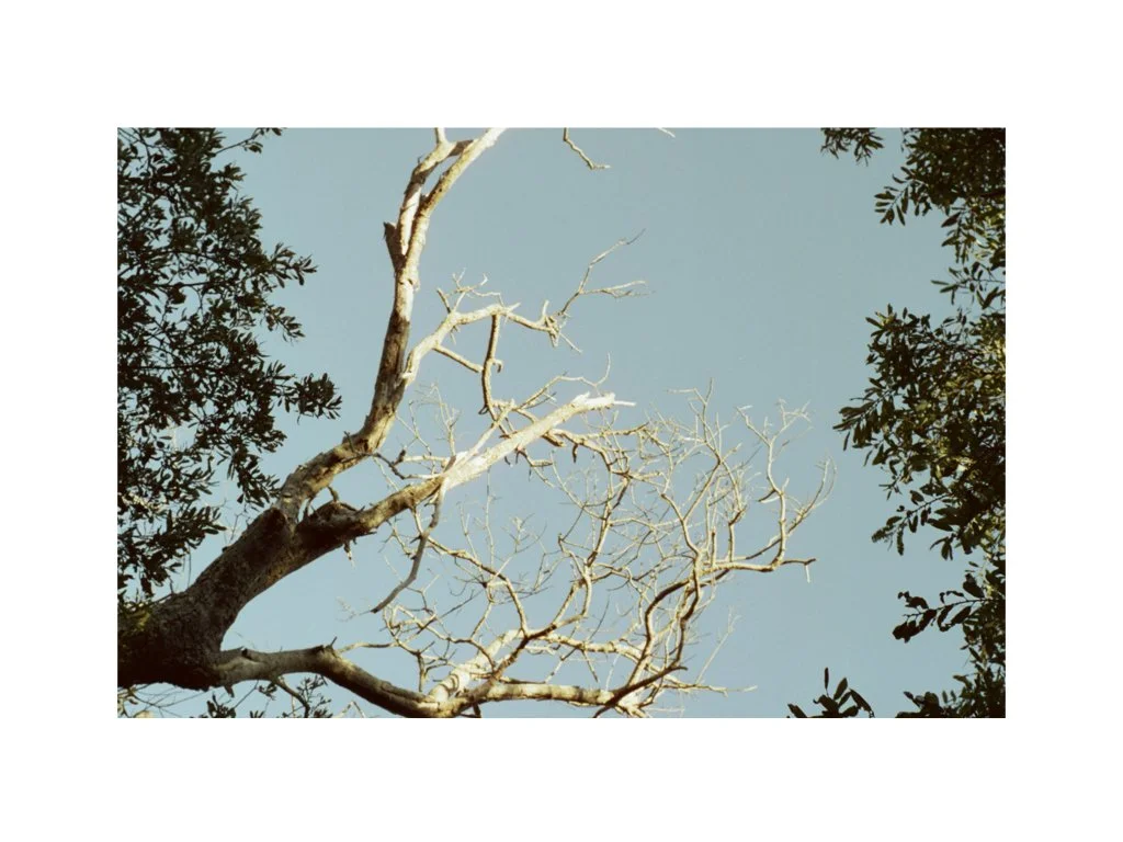  on this energetic wilderness of the Great West, 