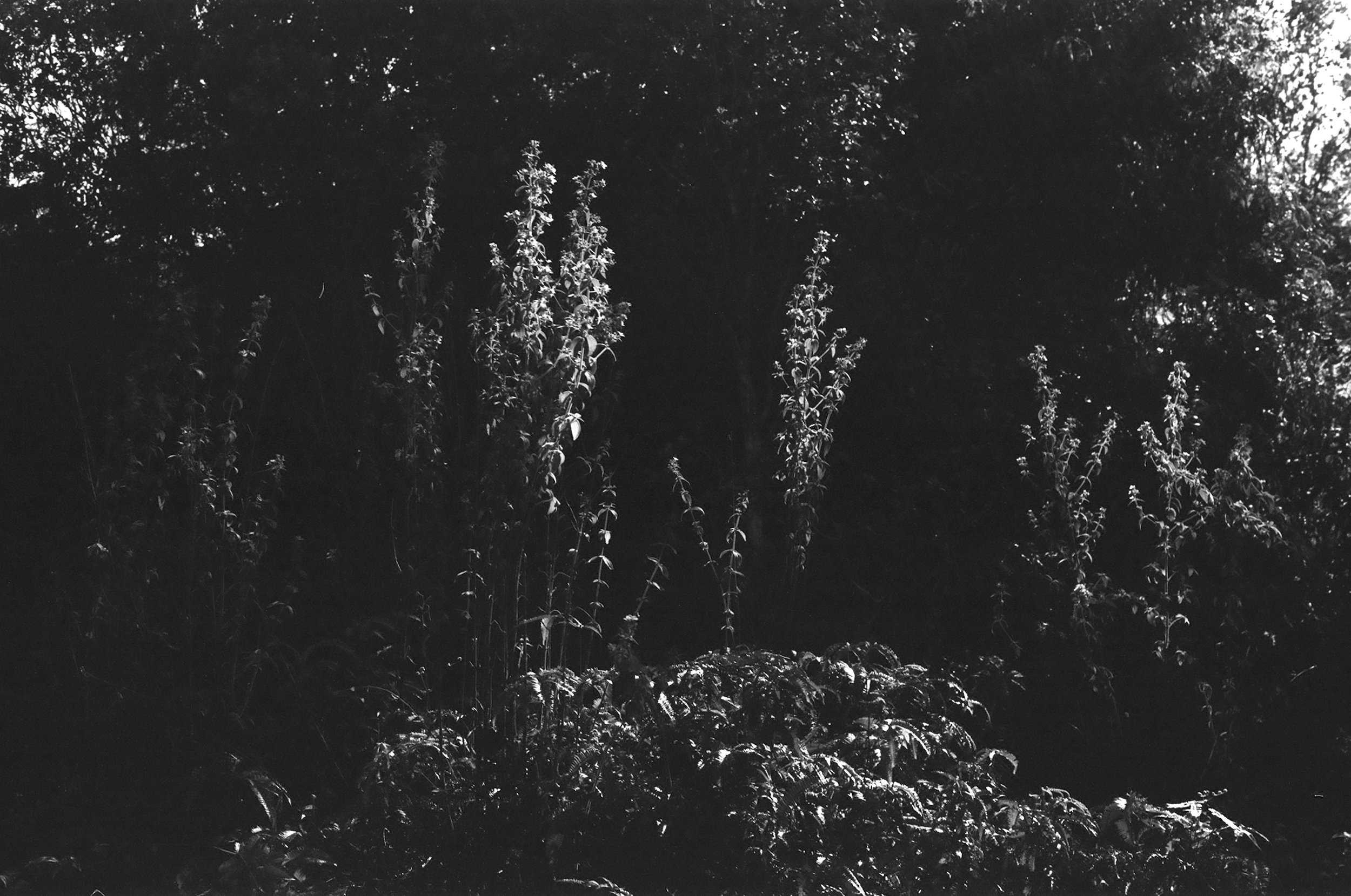 Screenshot 2025-04-09 at 5.23.29 PM.png