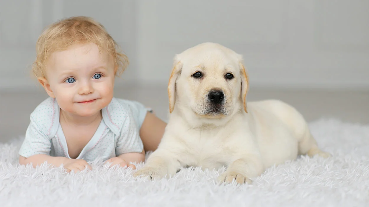dogs-and-babies-header.jpg