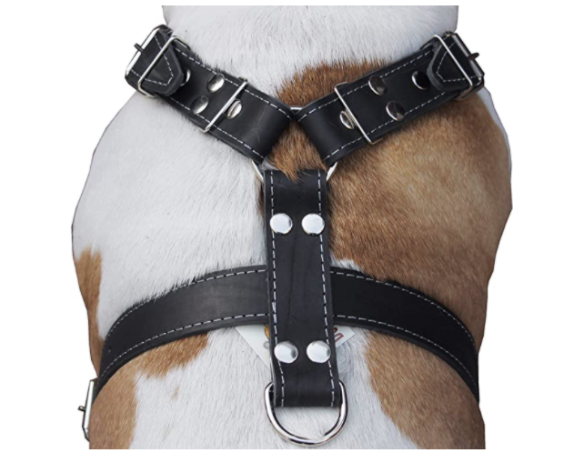 Screen Shot 2022-02-08 at 2.54.29 PM.png