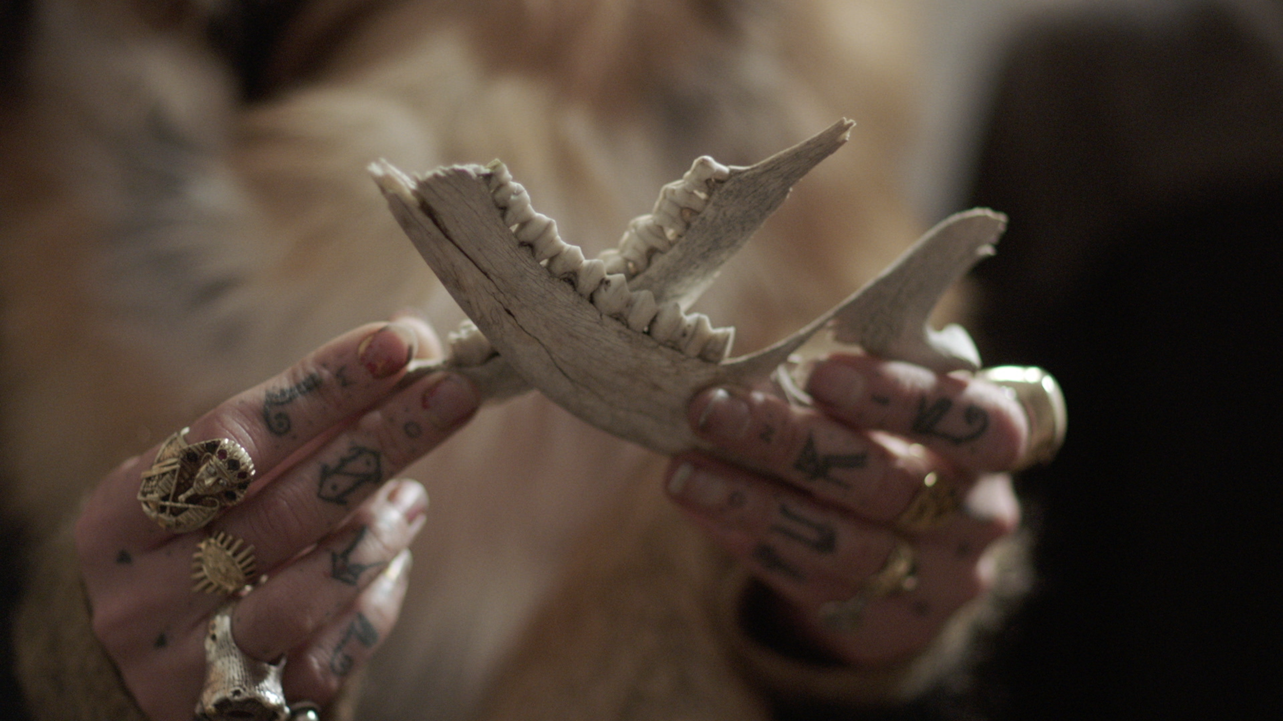 Under Coven: The Witches of Bushwick