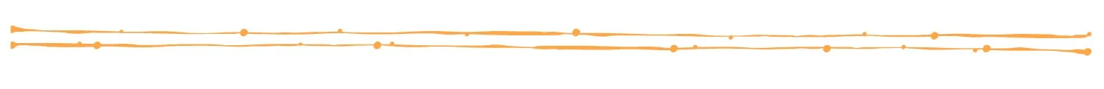 ls line.jpg