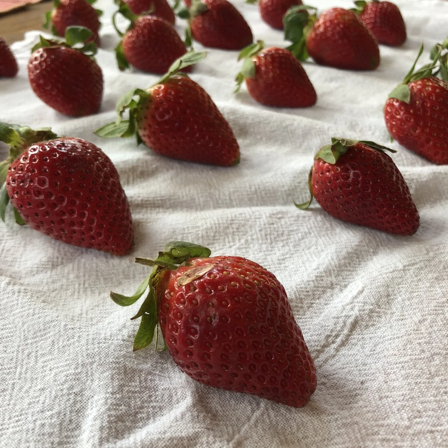 Roasted Strawberries