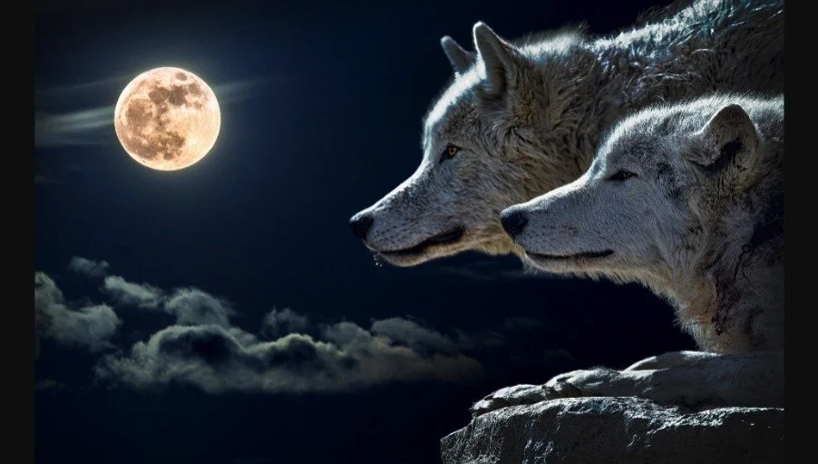 January Full Moon Meditation