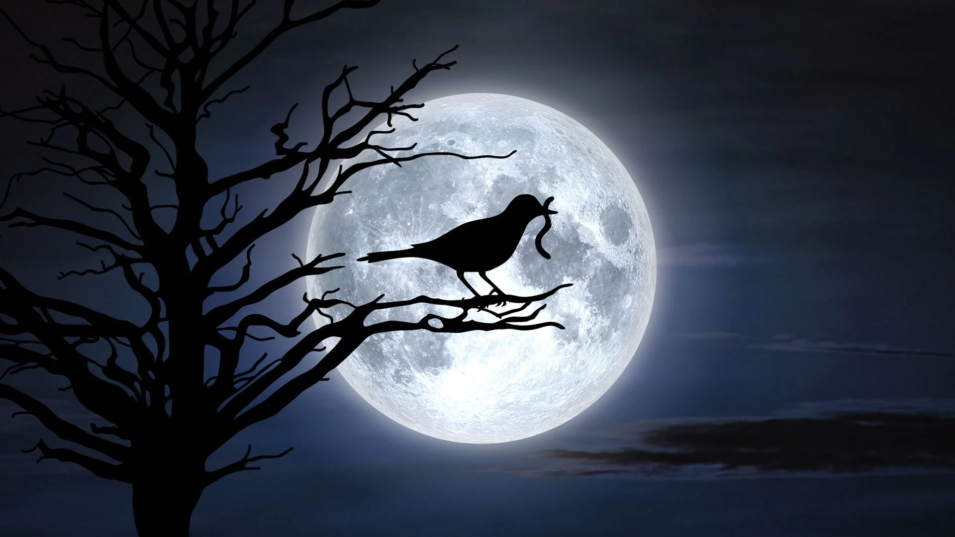 March Full Moon Meditation