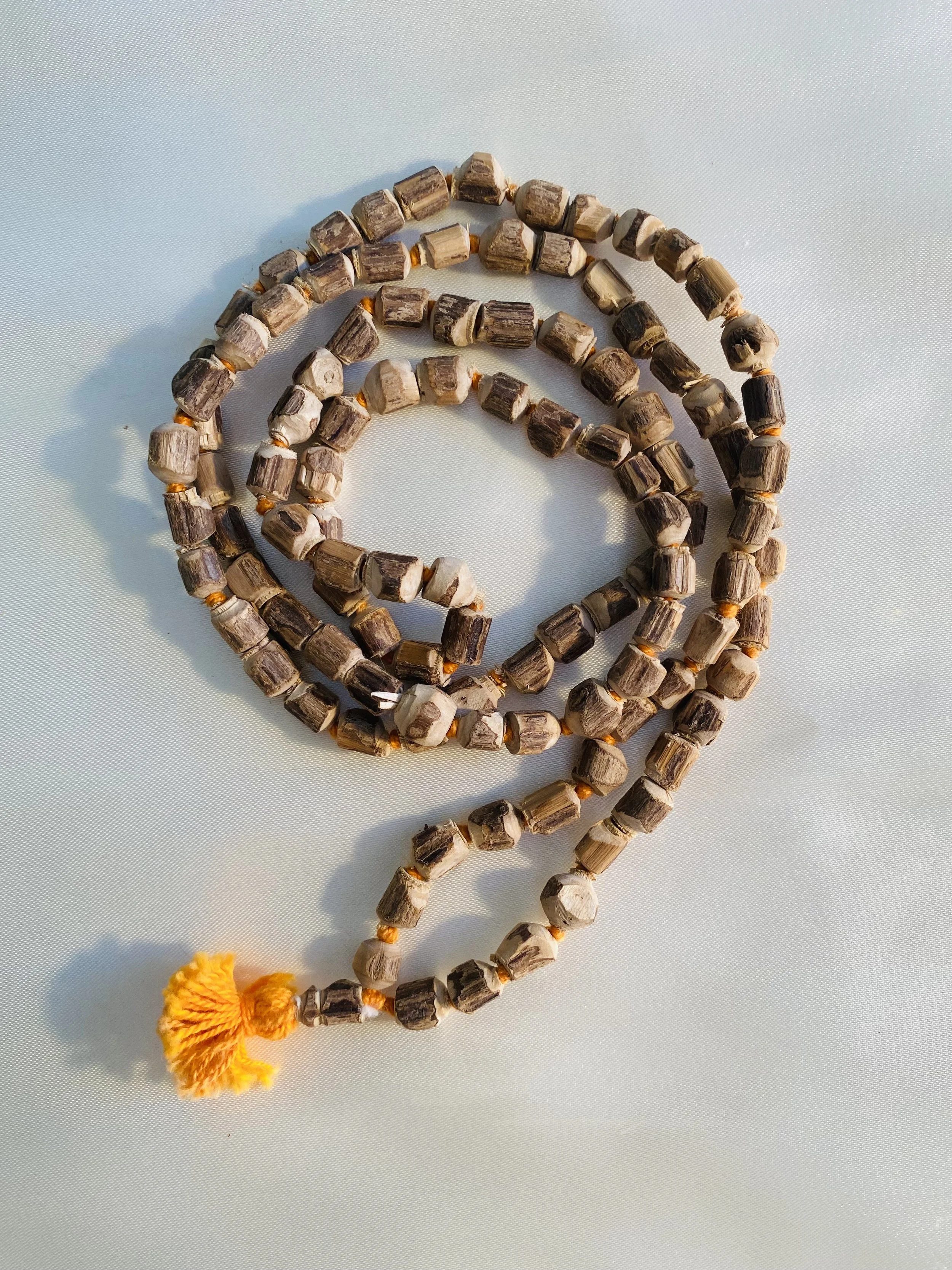 Square Tulsi.jpg