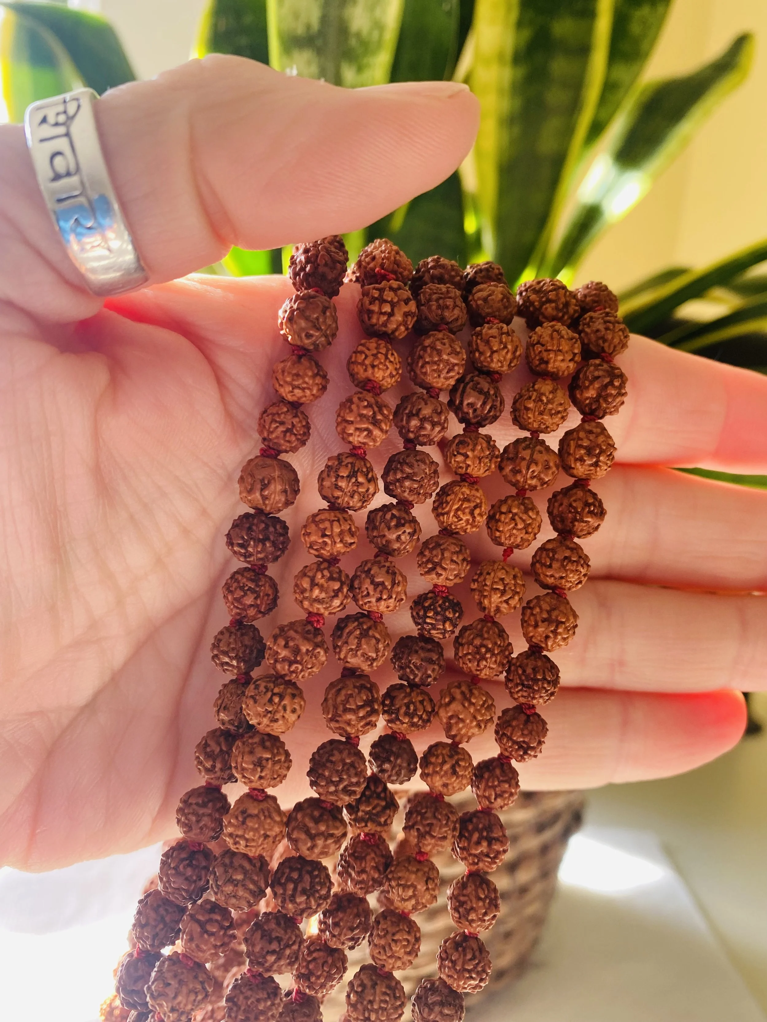 Rudraksha 2.jpg