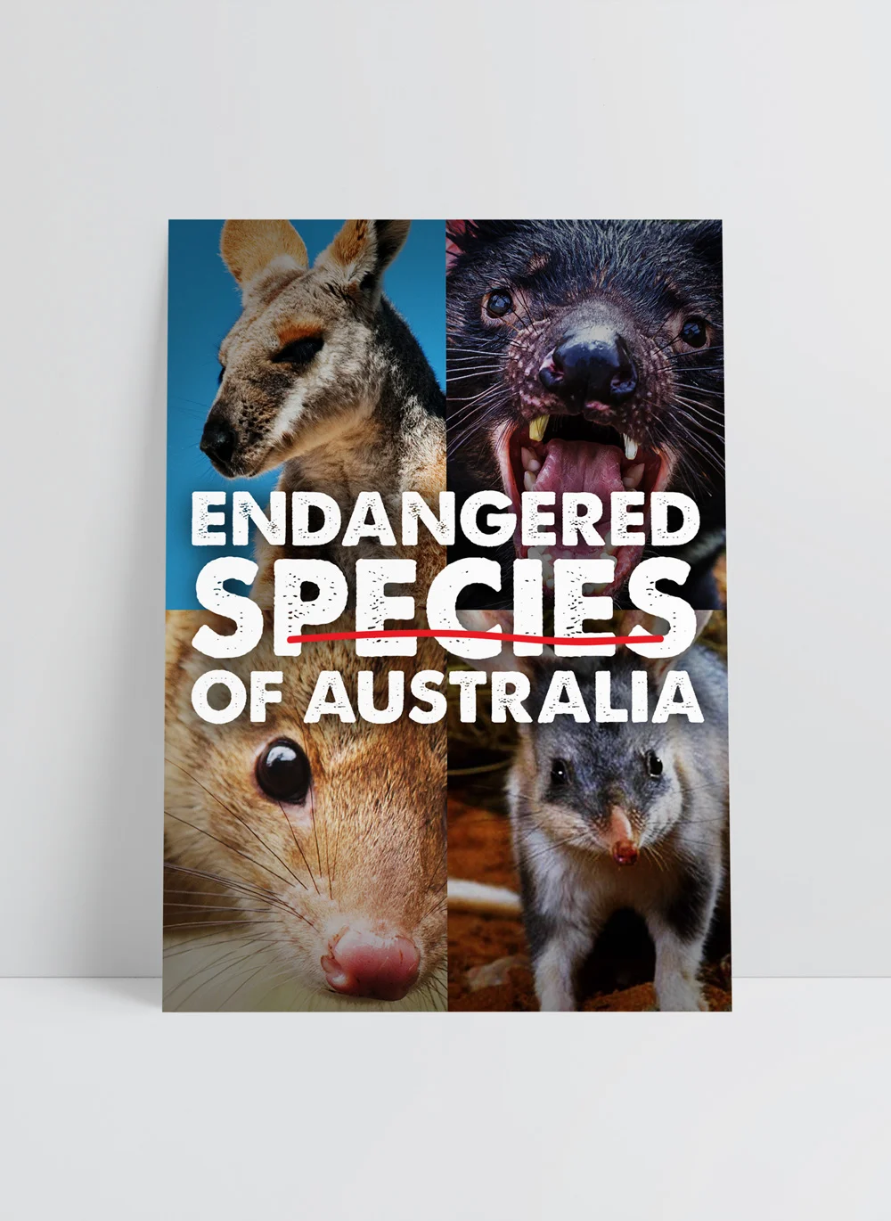 Poster-Endangered-Species-Of-Australia.jpg