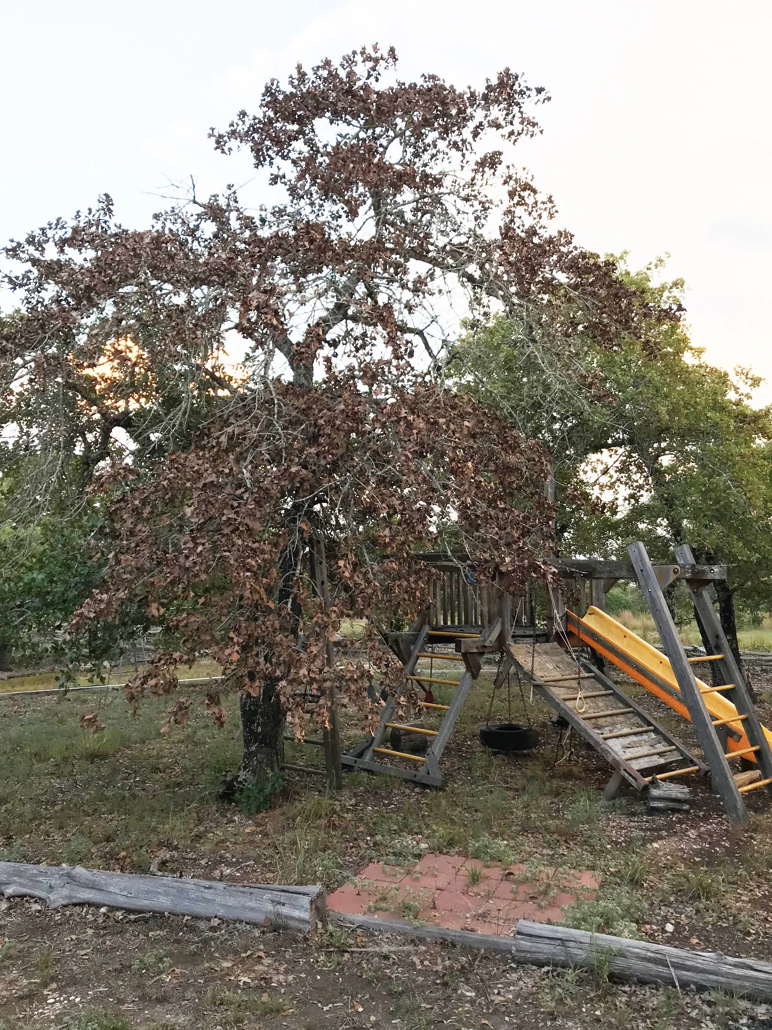 ranch tree fort.jpg