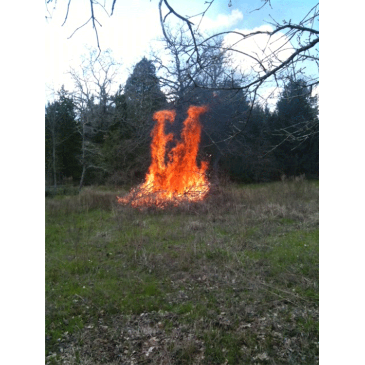 bonfire.gif