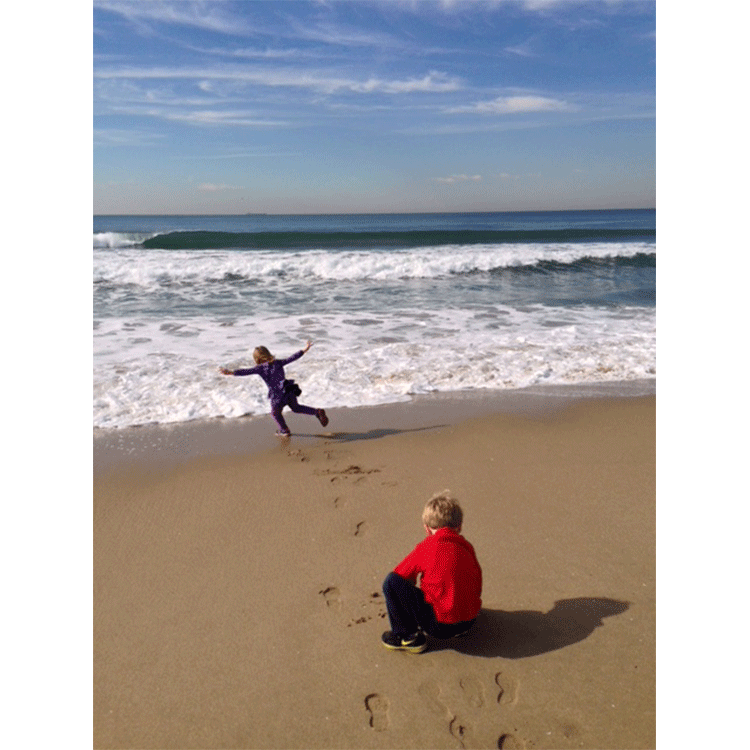 beach.gif