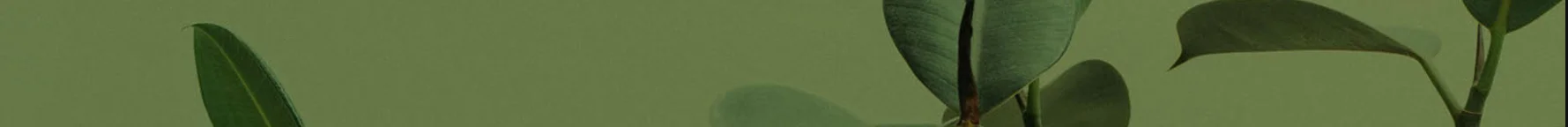 thinner main banner.jpg