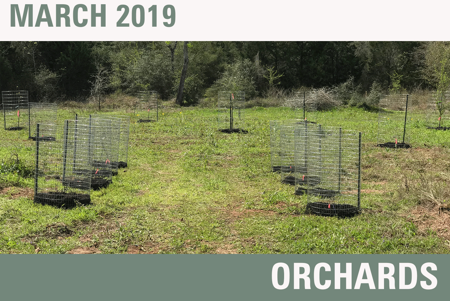 View Newsletter | View or Download PDF • Orchards • Market Review - February 2019 • 2018 IRA Contributions • Last Chance - 2019 Satisfaction Survey • Charitable Giving Tax Forms