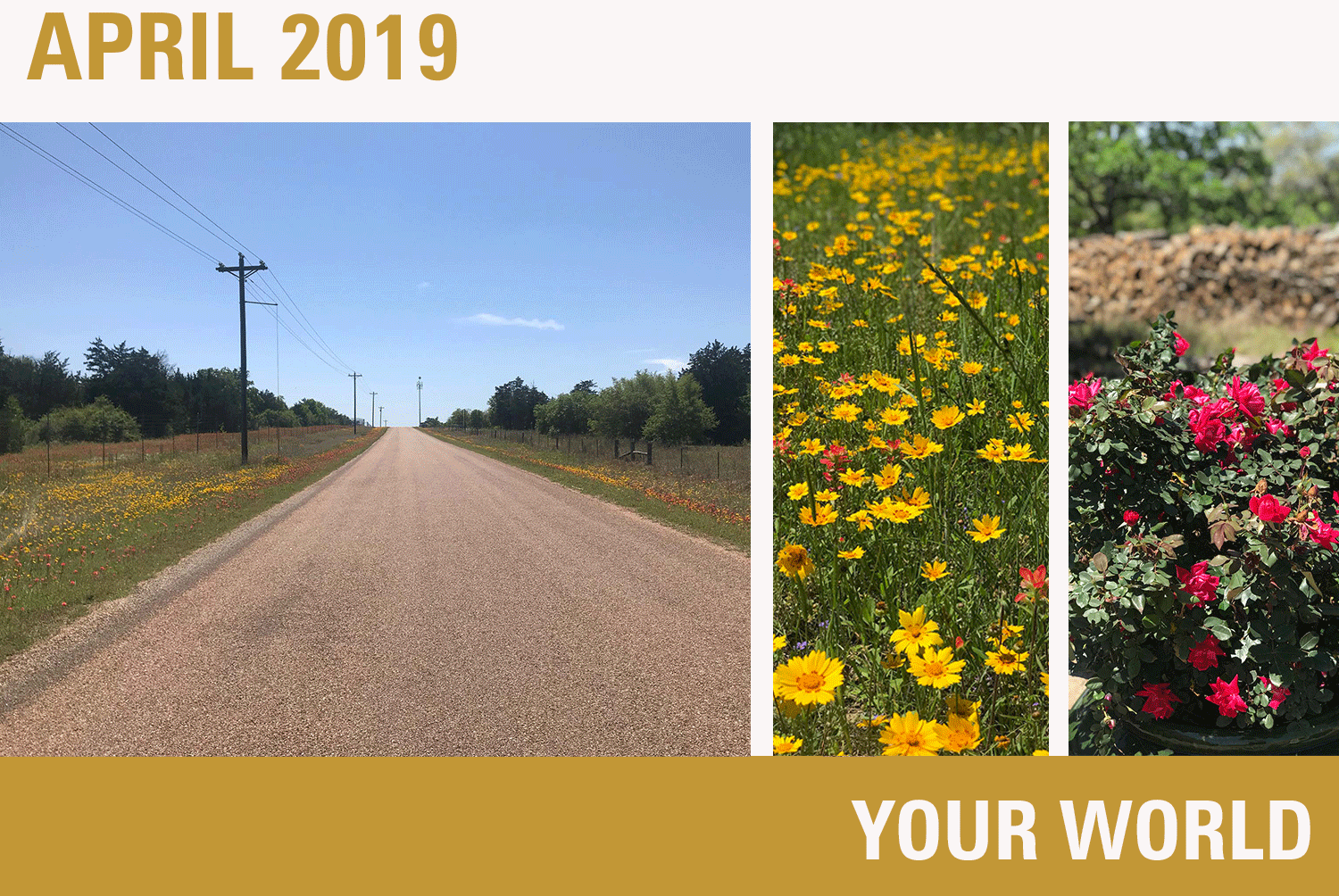 View Newsletter | View or Download PDF • Your World • Webinar Invitation • Q1 Market & Portfolio Review • Web Browser Update • 2018 Performance Survey Results • 2019 ADV II
