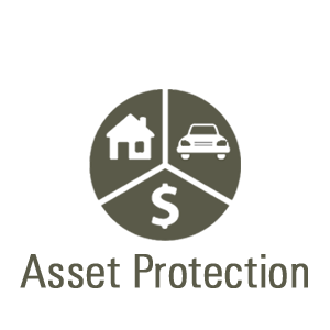 Asset Protection Assistance