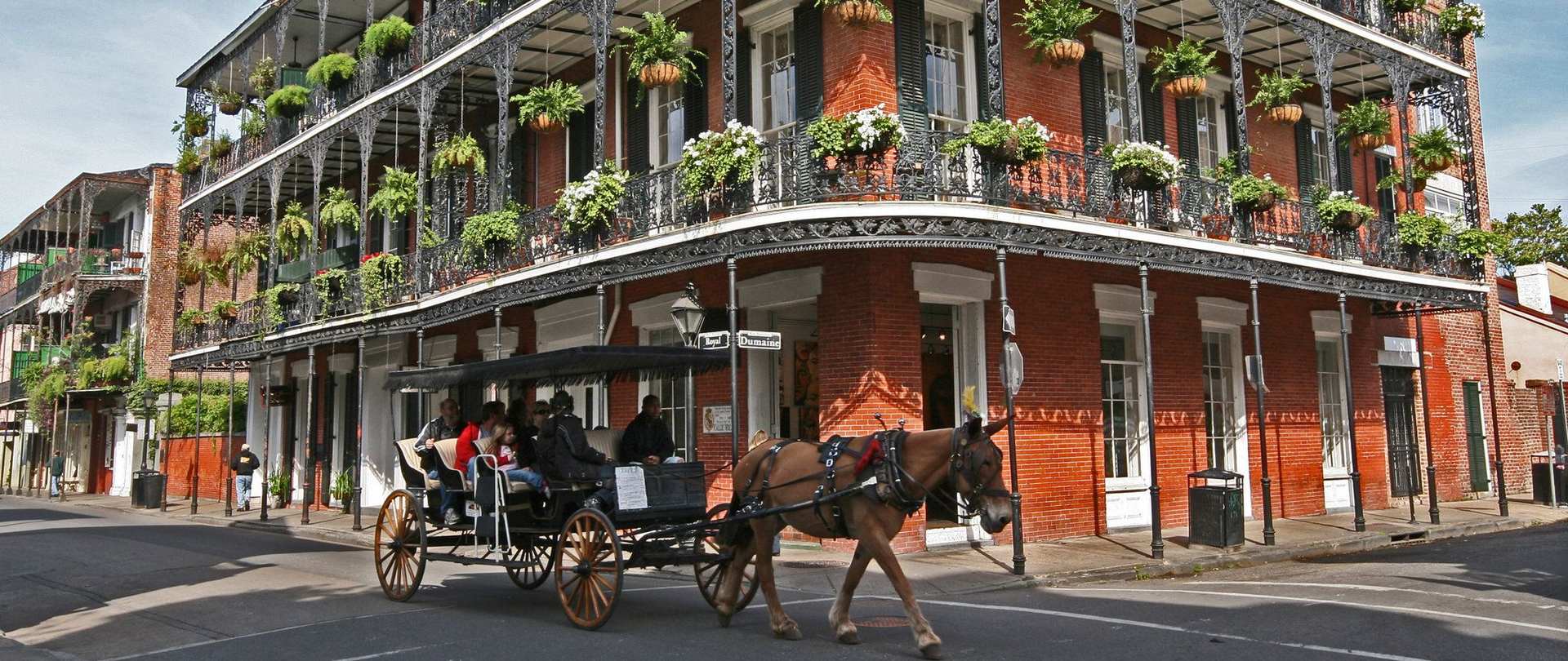 new orleans.jpeg