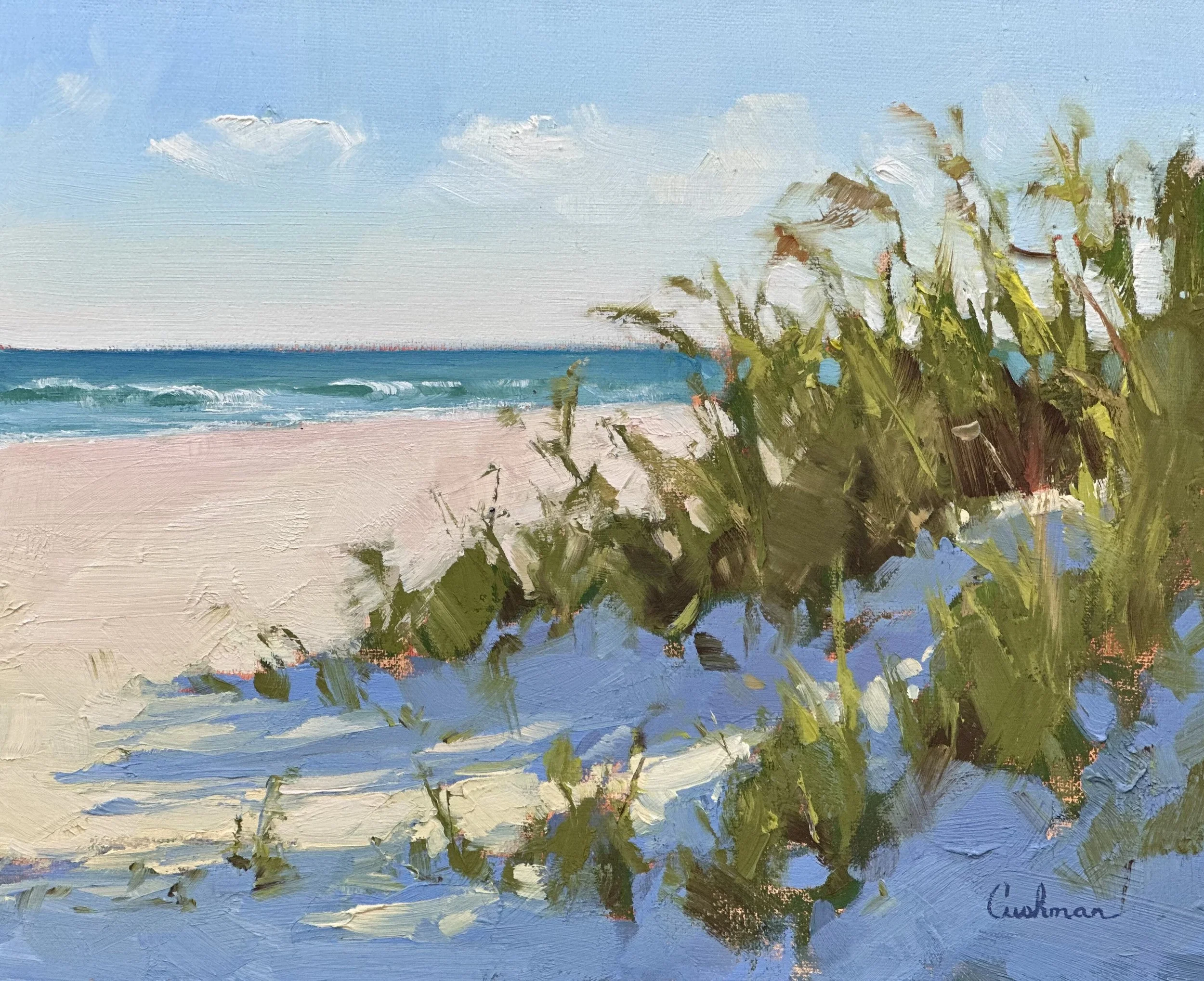 Dune Shadows