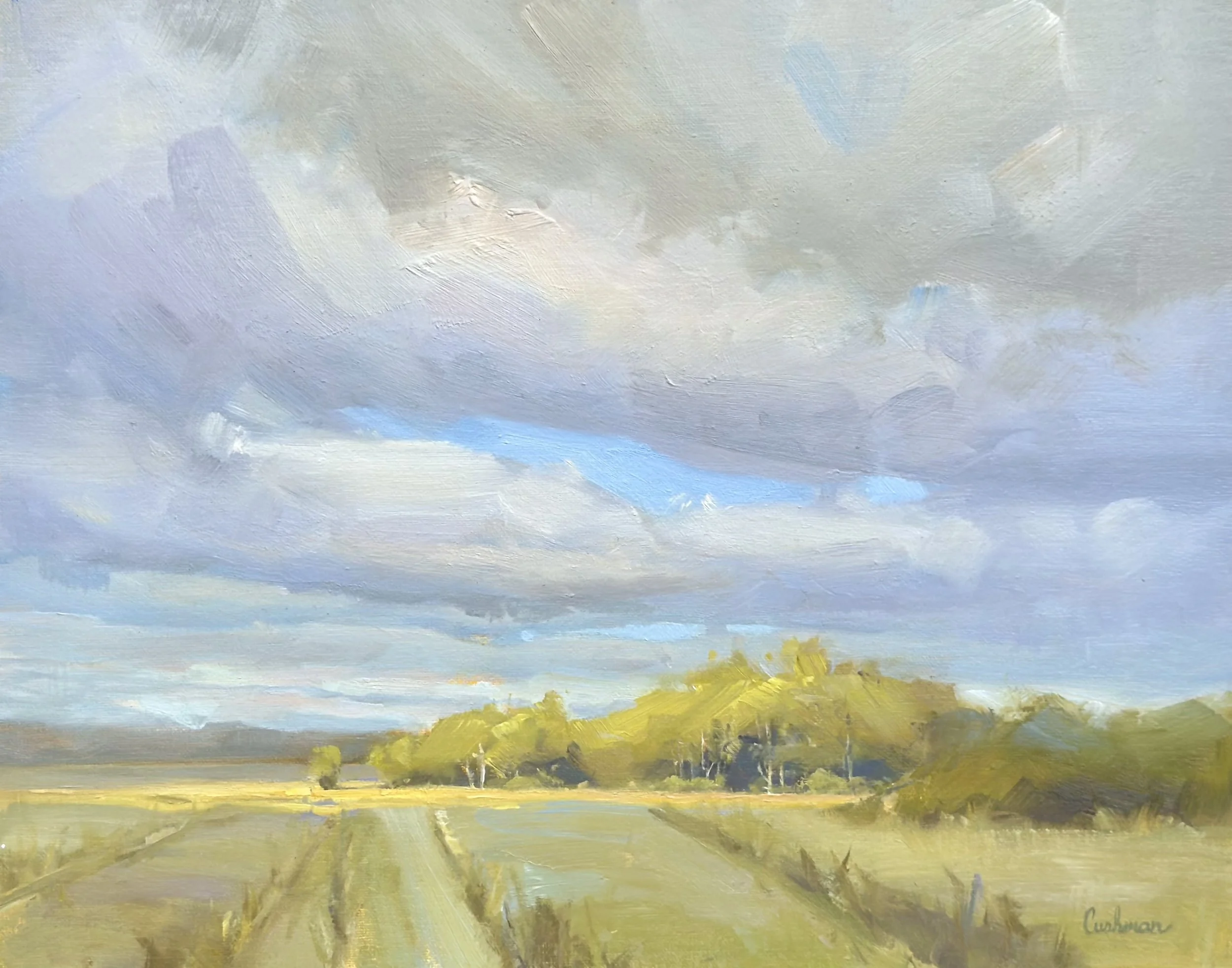Through the Clouds
