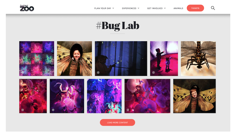 #BugLab Stackla Widget — Auckland Zoo Bug Lab page .