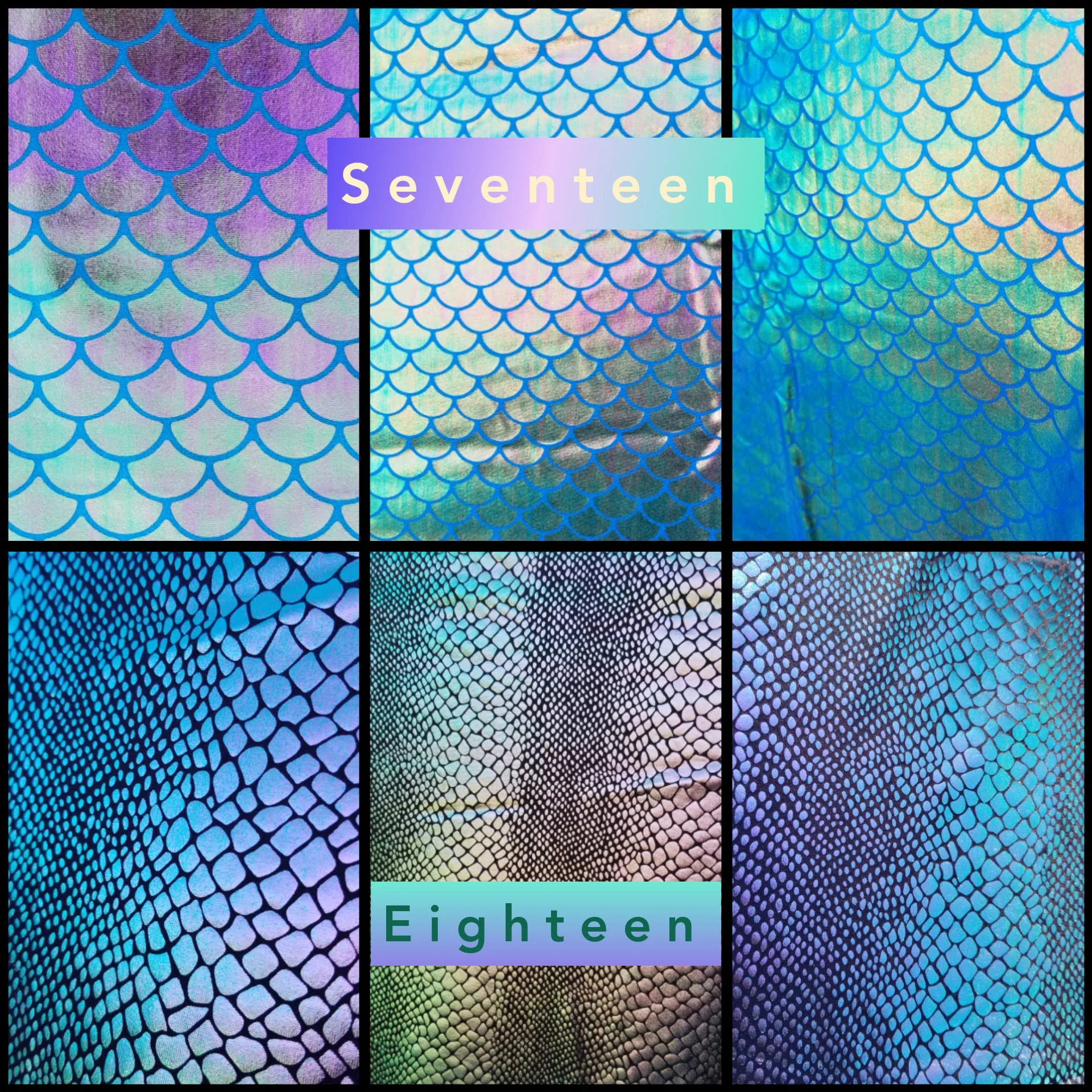 inCollage_20181123_171300711.jpg