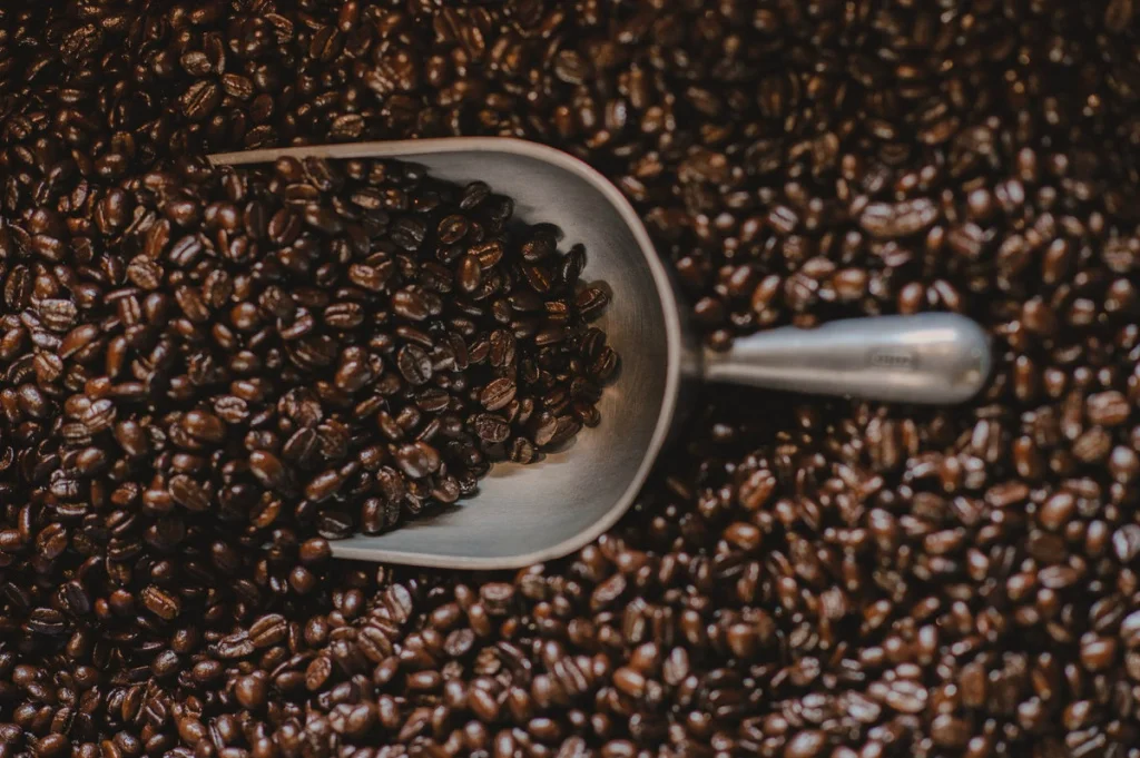 Freshly roasted coffee bean varietals are blended together to build Oso Negro's signature brews. Courtesy Oso Negro