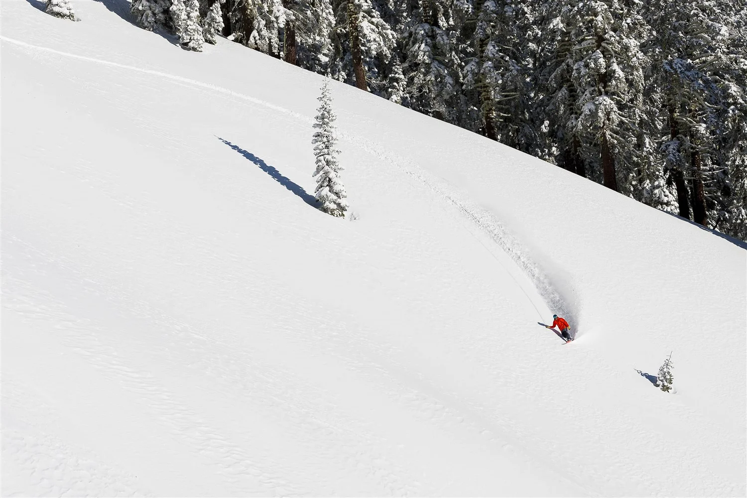 Surf's up at Alpine Meadows , which is located 20 minutes from downtown Truckee—and from Dark Horse's freshly roasted coffee beans. Courtesy Squaw Valley-Alpine Meadows