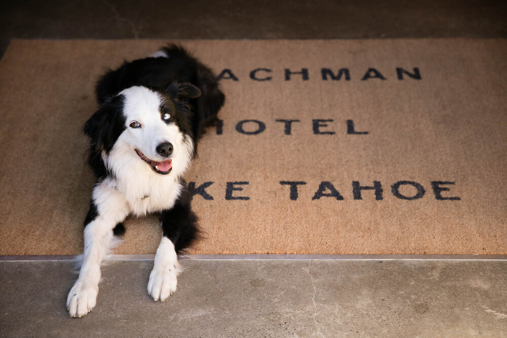  Snow days are dog days at the Coachman Hotel in South Lake Tahoe, CA.  Molly DeCoudreaux | Courtesy Tahoe South  