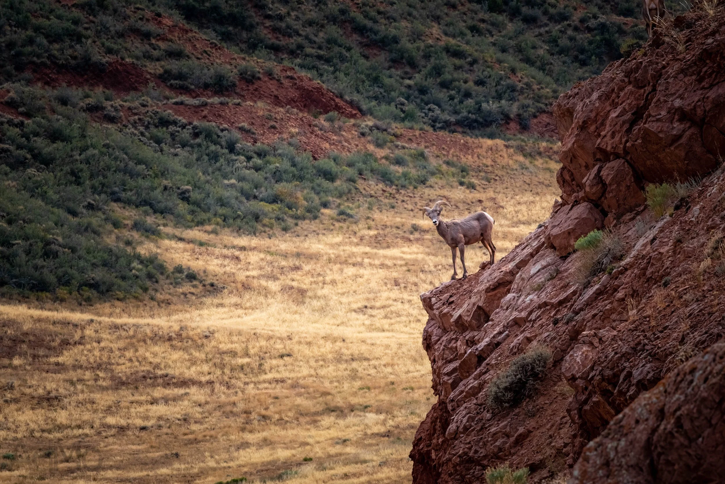 Wyoming Index-39.jpg