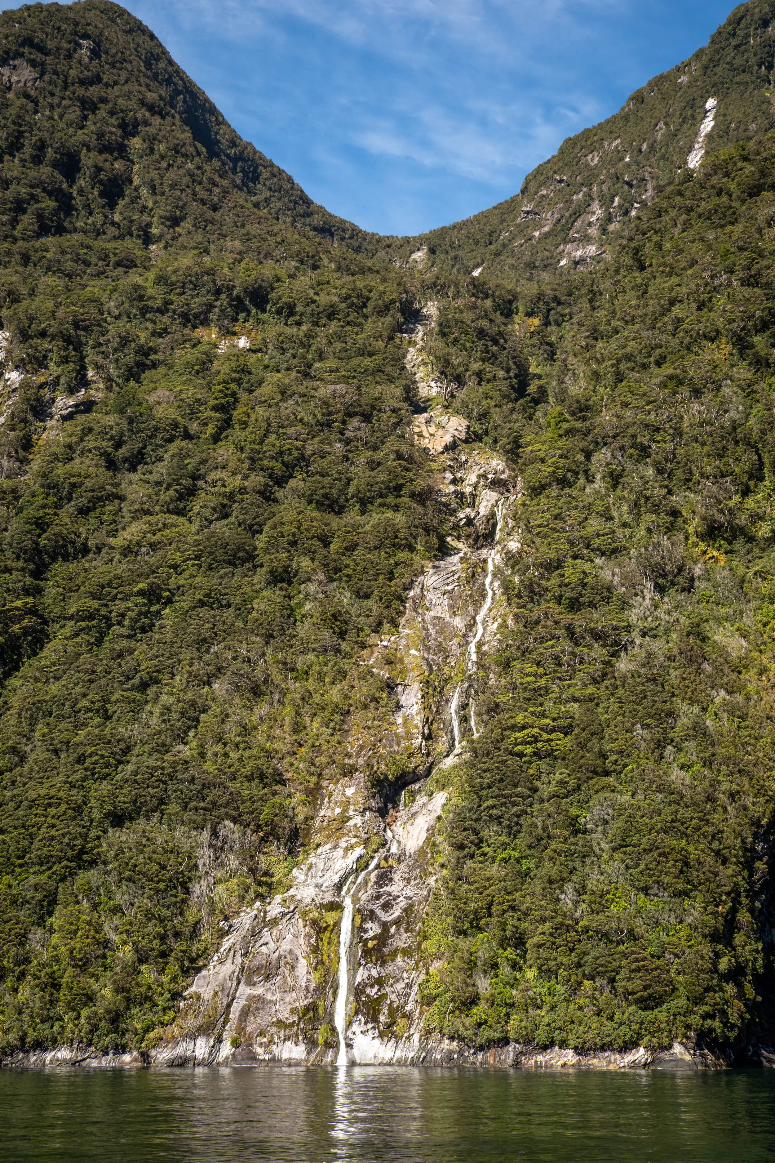 NZ & A-303.jpg
