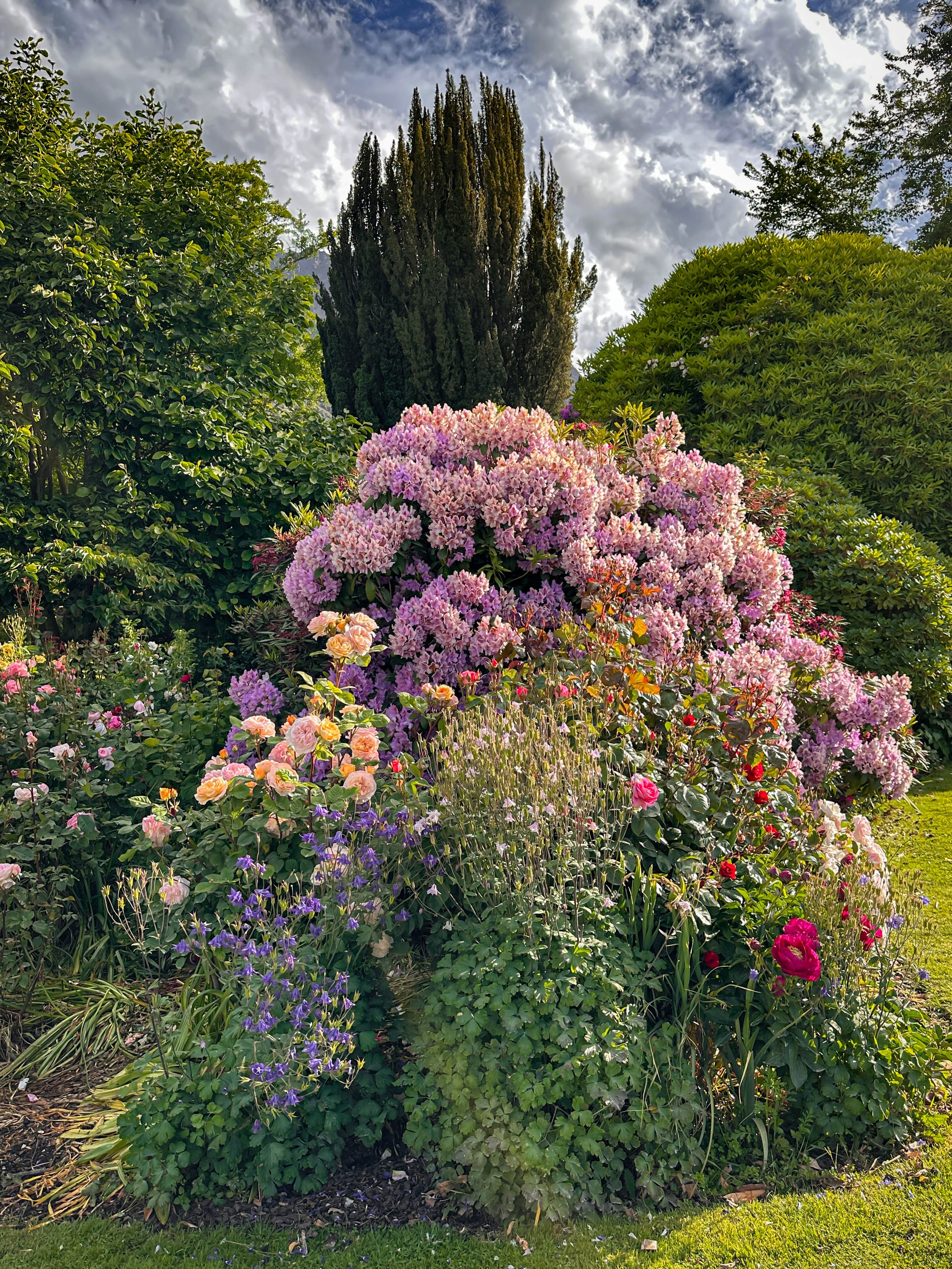 NZ & A - Camera-64.jpg