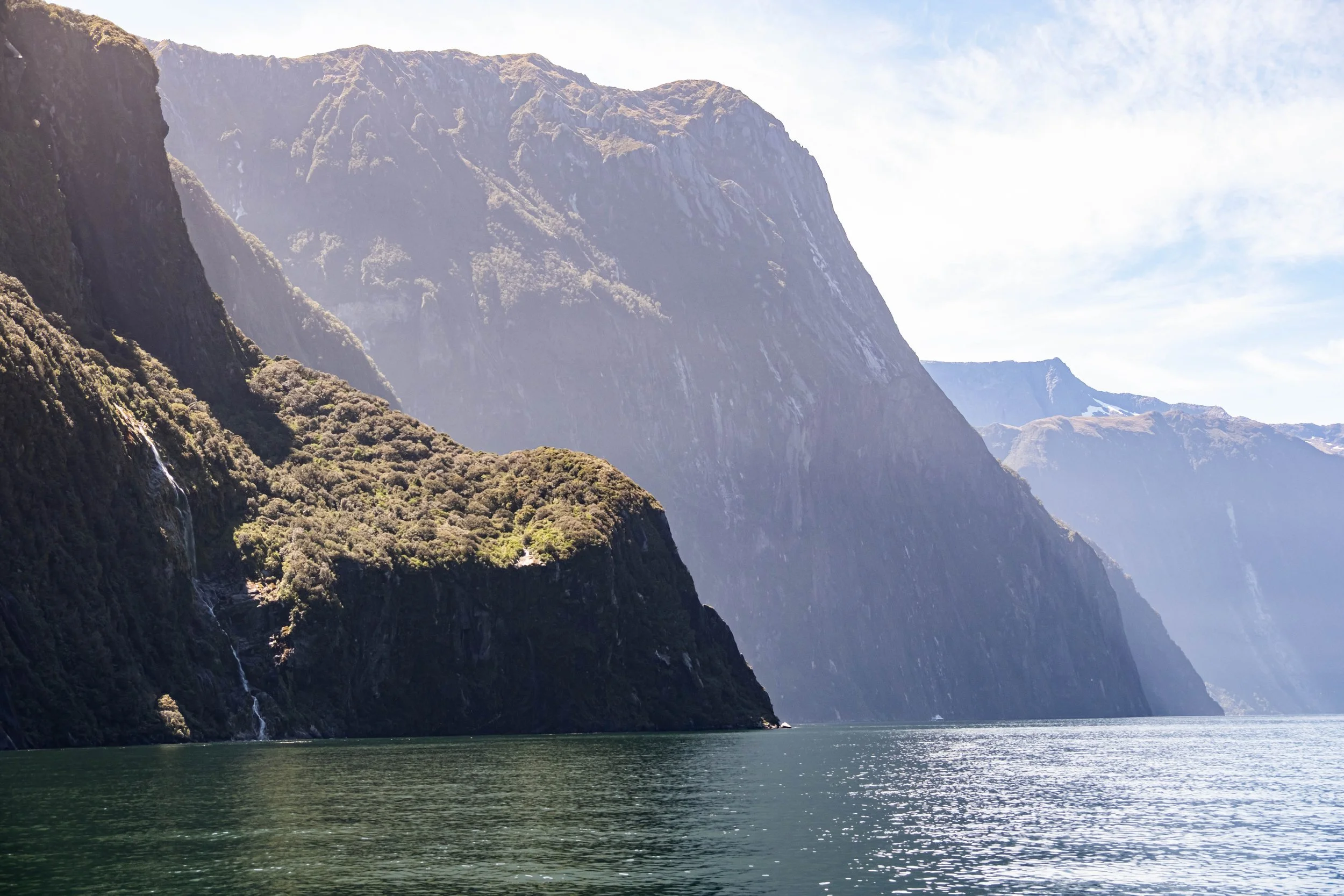 NZ & A-310.jpg