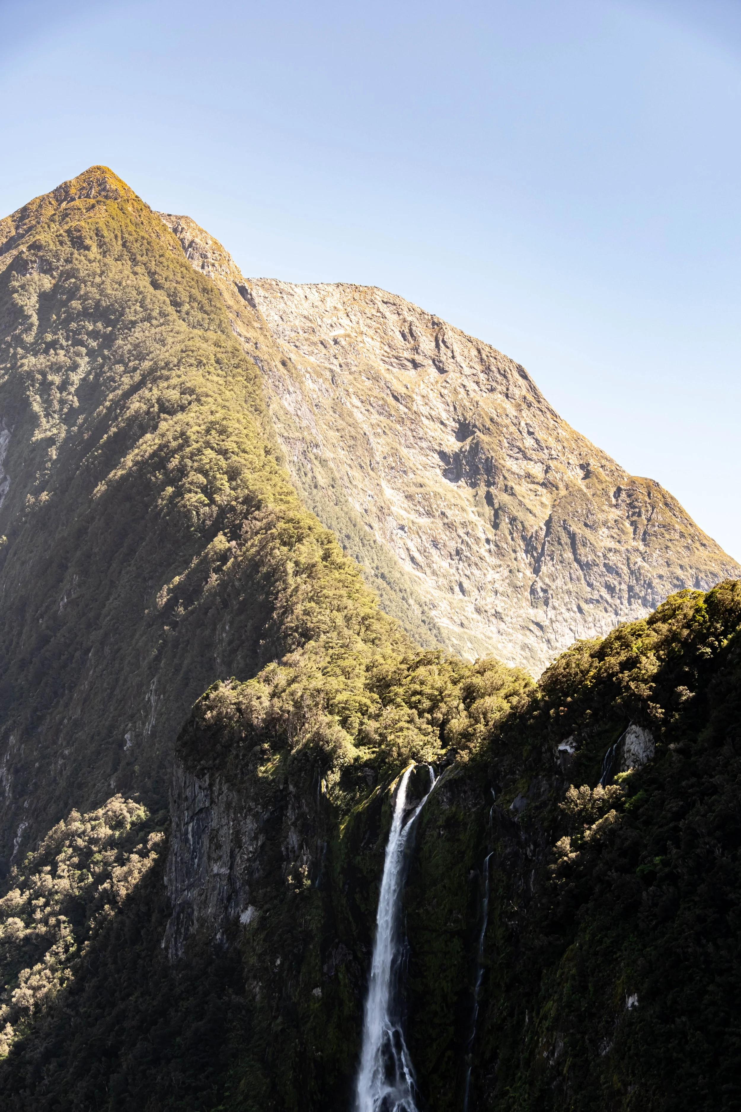 NZ & A-336.jpg