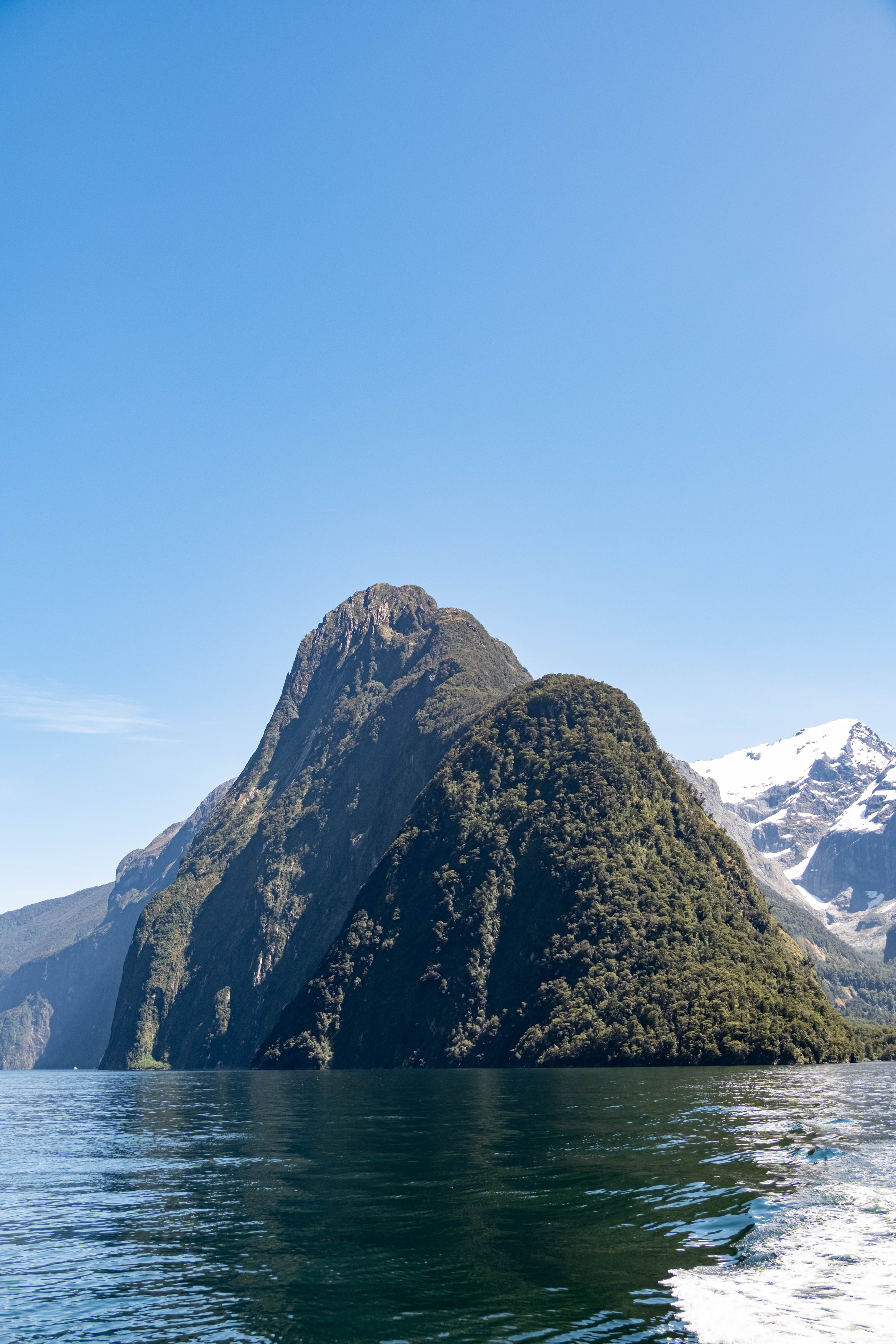 NZ & A-314.jpg