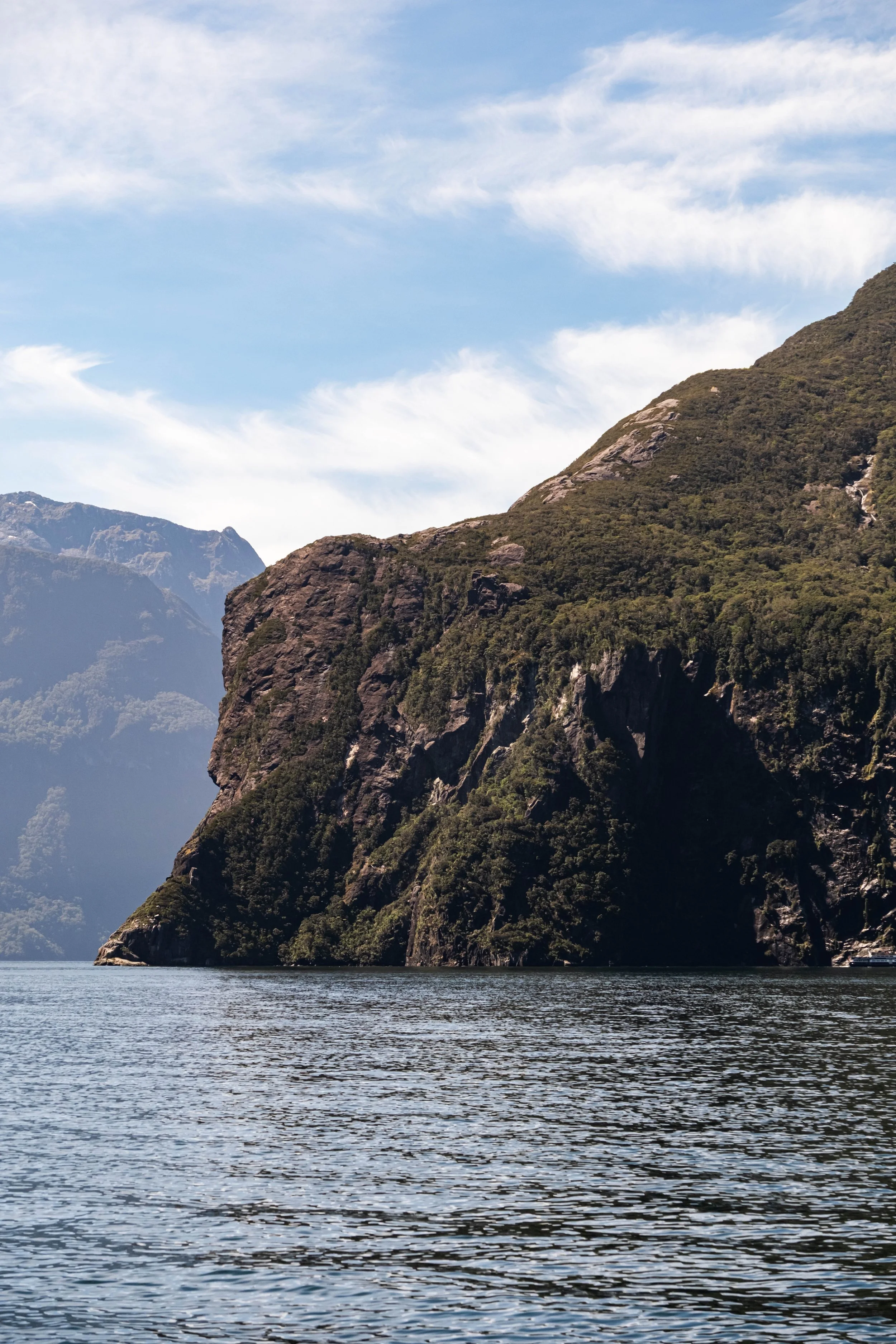 NZ & A-309.jpg