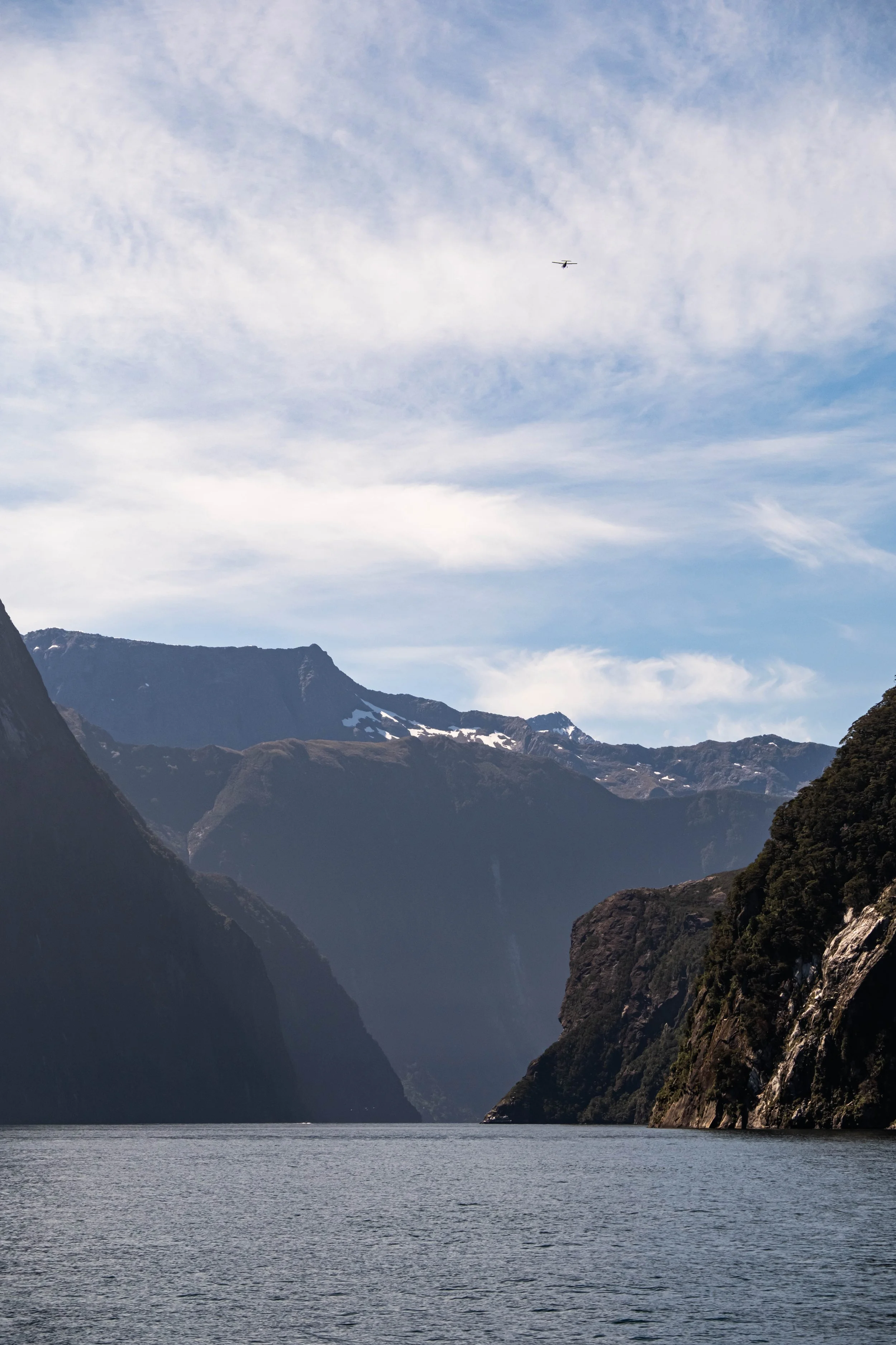 NZ & A-307.jpg