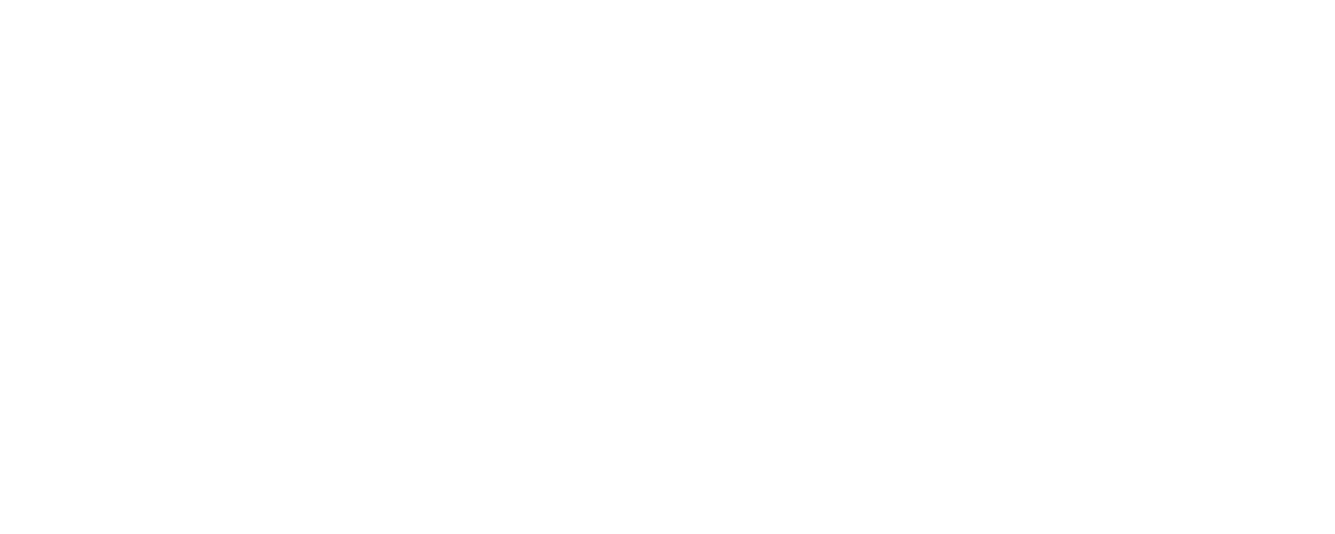 My Vice Food & Spirits