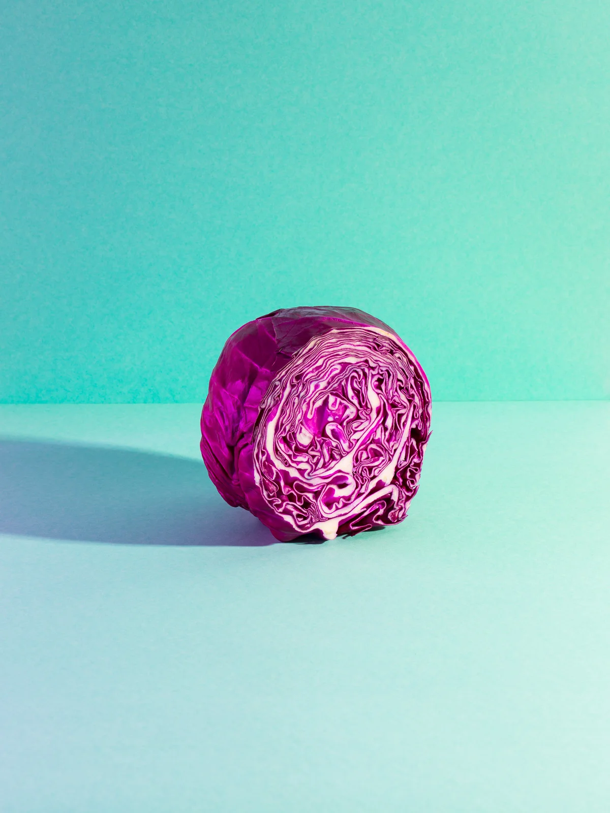 126__stilllife.jpg