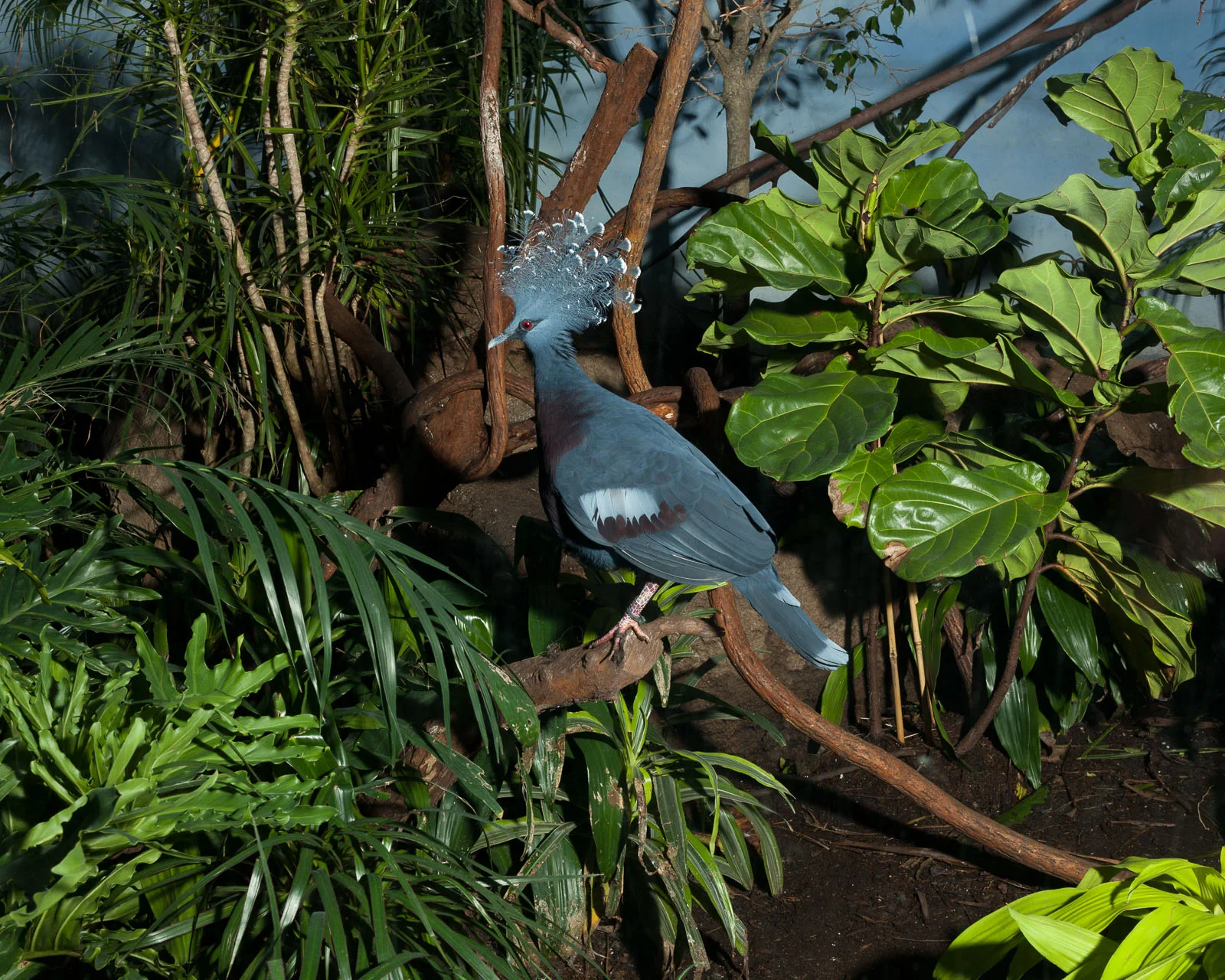 007_MARTINHYERS_WILLIAMMEBANE_zoo_.jpg