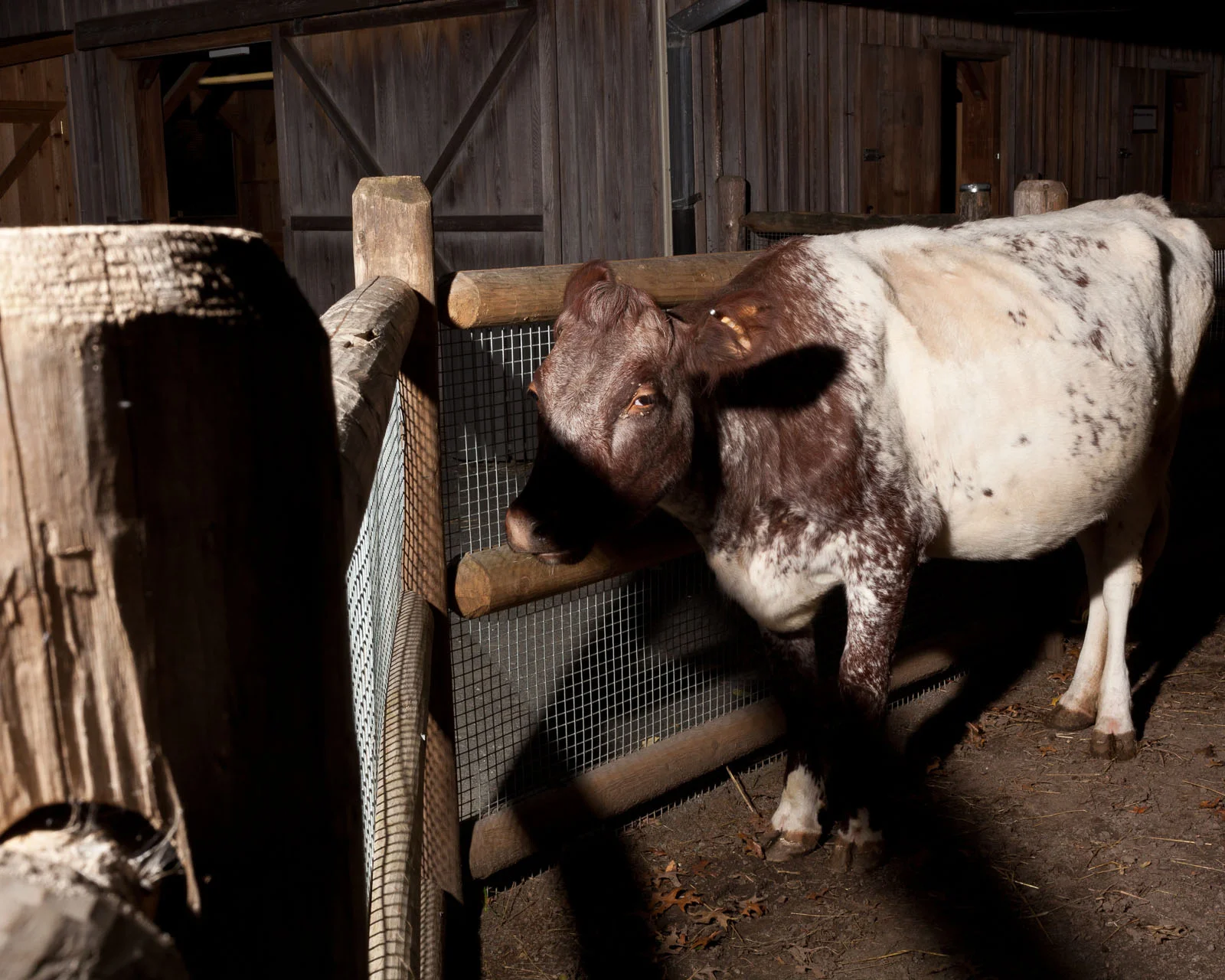 015_MARTINHYERS_WILLIAMMEBANE_zoo_.jpg