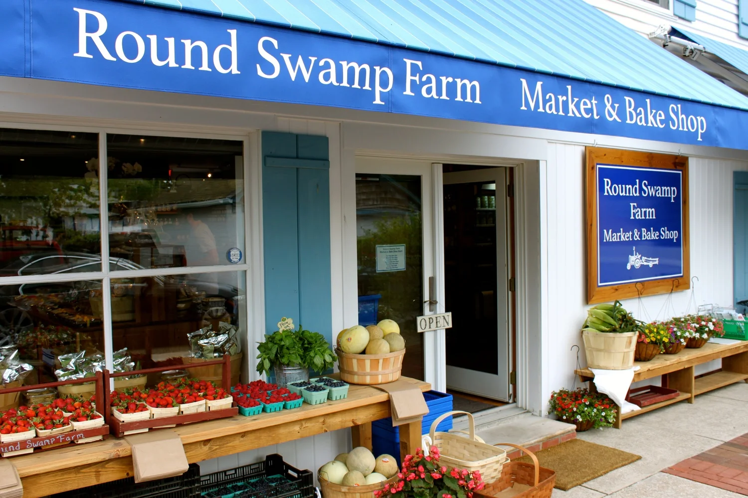 round swamp.jpg