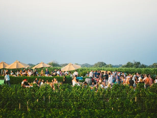 wolffer winestand.jpg