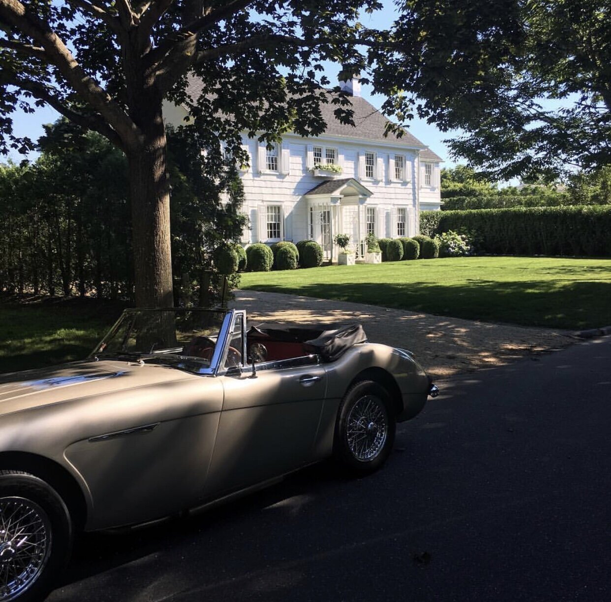 My favorite neighbor.