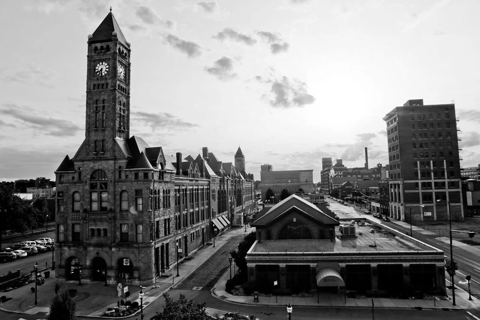 springfield-1_bnw.jpg