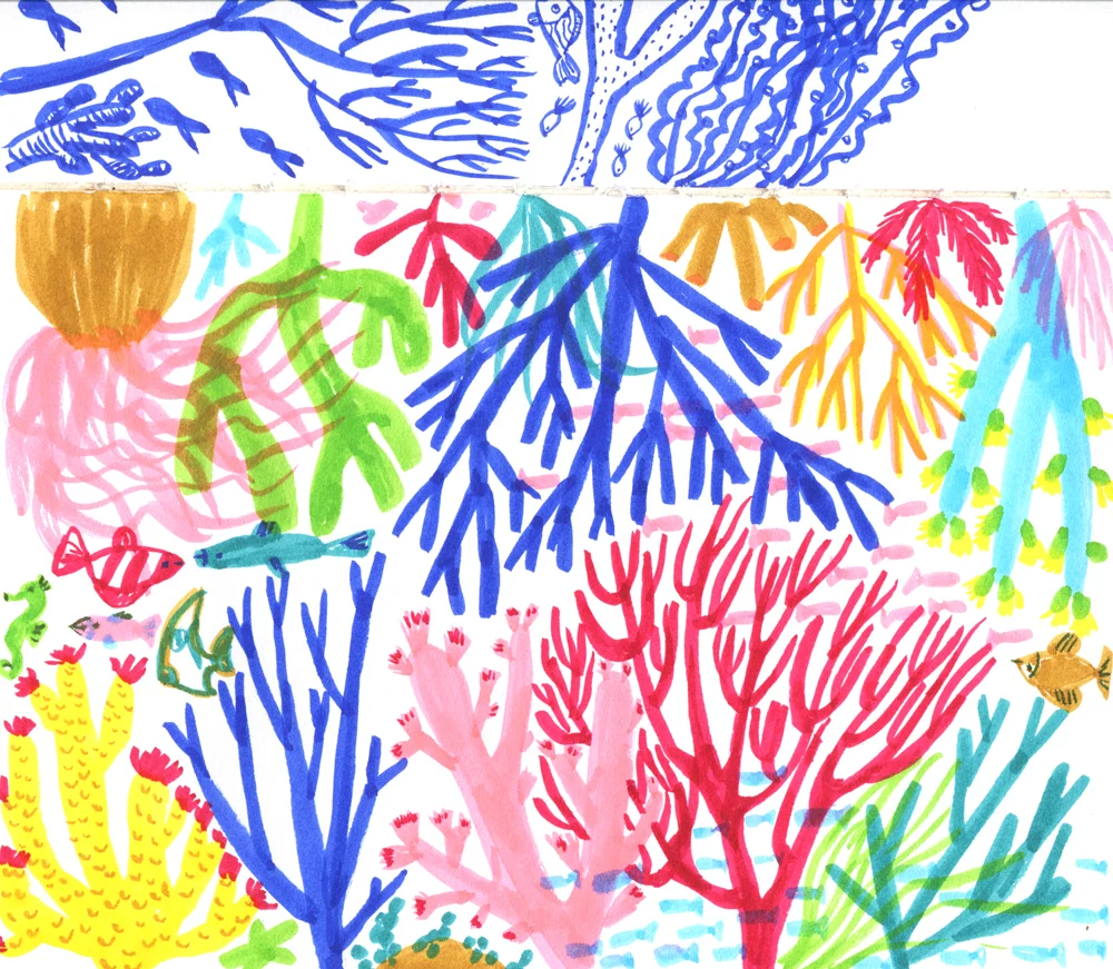 reefweb1.jpg