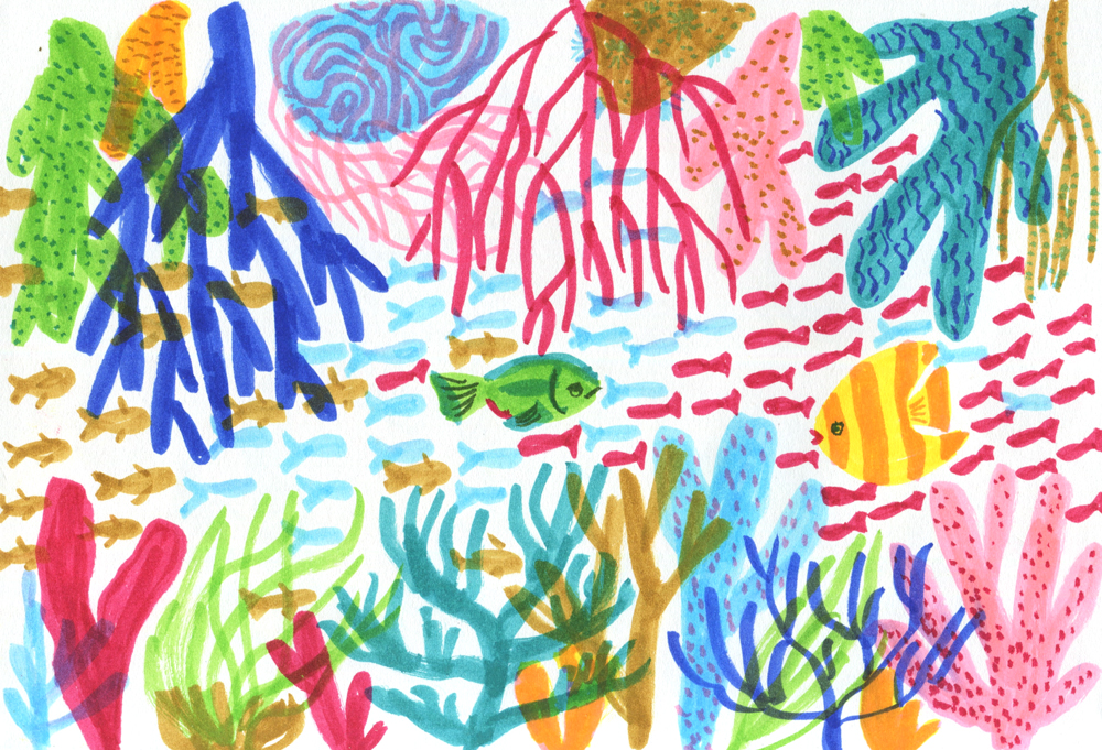 reefweb4.jpg