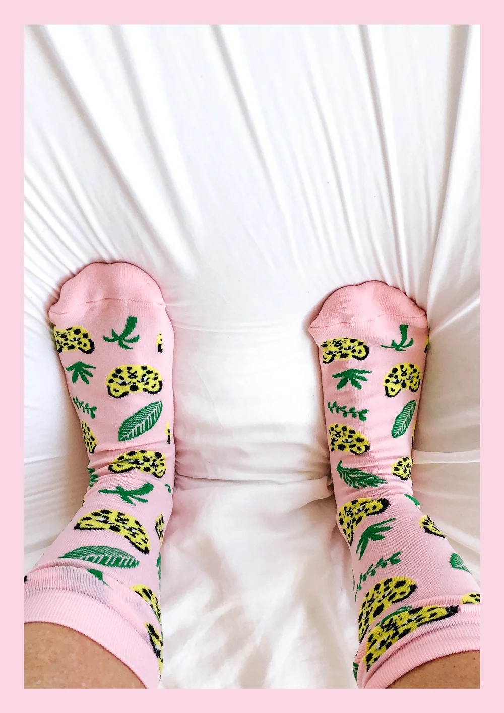 WEB_SOCKS.jpg